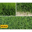 Kép 2/2 - 001 (1)