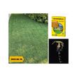 Kép 2/2 - BARENBRUG BERMUDA CSILLAGPÁZSIT 0,5 Kg