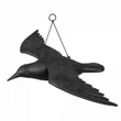 Kép 1/3 - Repülő varjú - 64/44/13cm