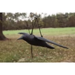 Kép 2/3 - Repülő varjú - 64/44/13cm