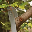 Kép 5/10 - FISKARS SOLID MACHETE, BOZÓTVÁGÓ FEJSZE