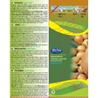 Kép 2/2 - DUGHAGYMA RÉDEI KERTIMAG CUPIDO F1 300g (kb300db)