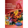 Kép 1/2 - DÍSZNÖVÉNY SÁRGAVIOLA RÉDEI KERTIMAG Fair Lady színkeverék 2 g