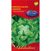 SALÁTA RÉDEI KERTIMAG BATÁVIA 2g