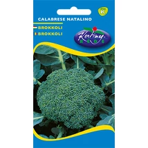 BROKKOLI RÉDEI KERTIMAG CALABRESE 2g