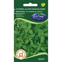 FŰSZERNÖVÉNY BAZSALIKOM RÉDEI KERTIMAG CITROM ILLATÚ 1g