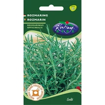FŰSZERNÖVÉNY ROZMARING RÉDEI KERTIMAG 0,125g