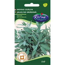 FŰSZERNÖVÉNY ORVOSI ZSÁLYA RÉDEI KERTIMAG 1g