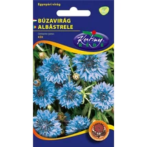 DÍSZNÖVÉNY BÚZAVIRÁG RÉDEI KERTIMAG KÉK