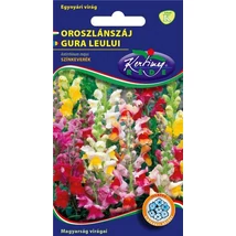 DÍSZNÖVÉNY OROSZLÁNSZÁJ RÉDEI KERTIMAG színkeverék