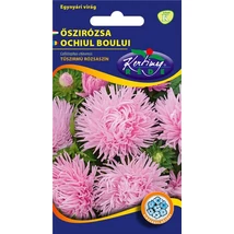 DÍSZNÖVÉNY ŐSZIRÓZSA RÉDEI KERTIMAG TŰSZÍRMÚ RÓZSASZÍN