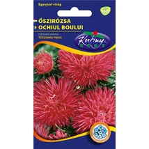 DÍSZNÖVÉNY ŐSZIRÓZSA RÉDEI KERTIMAG TŰSZÍRMÚ PIROS