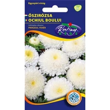 DÍSZNÖVÉNY ŐSZIRÓZSA RÉDEI KERTIMAG Prinzess fehér