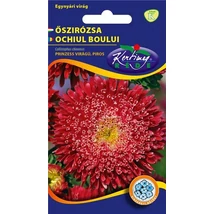 DÍSZNÖVÉNY ŐSZIRÓZSA RÉDEI KERTIMAG Prinzess piros