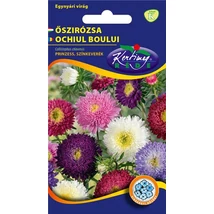 DÍSZNÖVÉNY ŐSZIRÓZSA RÉDEI KERTIMAG PRINZESS SZÍNKEVERÉK