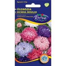 DÍSZNÖVÉNY ŐSZIRÓZSA RÉDEI KERTIMAG PEONIA VIRÁGÚ SZÍNKEVERÉK