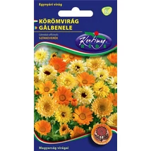 DÍSZNÖVÉNY KÖRÖMVIRÁG RÉDEI KERTIMAG színkeverék