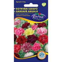 DÍSZNÖVÉNY SZEGFŰ RÉDEI KERTIMAG CHABAUD SZÍNKEVERÉK