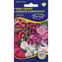 DÍSZNÖVÉNY KÍNAI SZEGFŰ RÉDEI KERTIMAG színkeverék