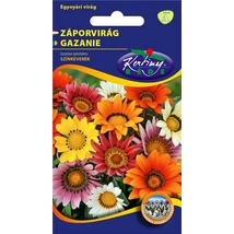 DÍSZNÖVÉNY ZÁPORVIRÁG RÉDEI KERTIMAG SZÍNKEVERÉK