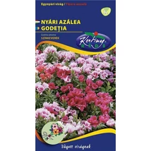 DÍSZNÖVÉNY NYÁRI AZÁLEA RÉDEI KERTIMAG SZÍNKEVERÉK
