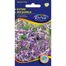 DÍSZNÖVÉNY ESTIKE RÉDEI KERTIMAG LILÁSRÓZSASZÍN