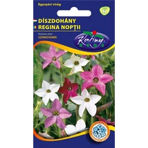 DÍSZNÖVÉNY DÍSZDOHÁNY RÉDEI KERTIMAG SZÍNKEVERÉK