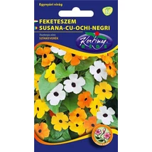 DÍSZNÖVÉNY FEKETESZEM RÉDEI KERTIMAG Színkeverék