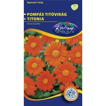 DÍSZNÖVÉNY PÁSZTORTŰZ RÉDEI KERTIMAG NARANCSSÁRGA