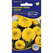 DÍSZNÖVÉNY BÁRSONYVIRÁG RÉDEI KERTIMAG nagyvirágú, alacsony,citromsárga