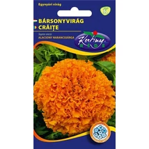 DÍSZNÖVÉNY BÁRSONYVIRÁG RÉDEI KERTIMAG nagyvirágú, alacsony, narancssárga