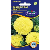 DÍSZNÖVÉNY BÁRSONYVIRÁG RÉDEI KERTIMAG nagyvirágú, magas, citromsárga