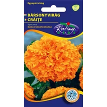 DÍSZNÖVÉNY BÁRSONYVIRÁG RÉDEI KERTIMAG nagyvirágú,magas, narancssárga