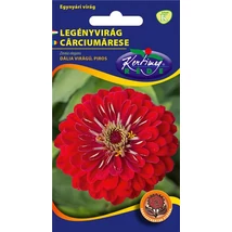 DÍSZNÖVÉNY LEGÉNYVIRÁG RÉDEI KERTIMAG PIROS