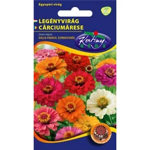 DÍSZNÖVÉNY LEGÉNYVIRÁG RÉDEI KERTIMAG SZÍNKEVERÉK