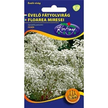 DÍSZNÖVÉNY ÉVELŐ FÁTYOLVIRÁG RÉDEI KERTIMAG fehér