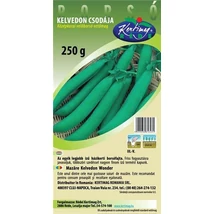 VELŐBORSÓ RÉDEI KERTIMAG KELVEDON CSODÁJA 250g