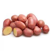 VETŐBURGONYA RÉDEI KERTIMAG RED SCARLETT 50 szem, hálós