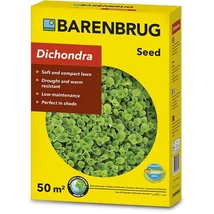 TALAJTAKARÓ BARENBRUG Dichondra repens-pázsitszulák vetőmag 0,5 KG 50m2