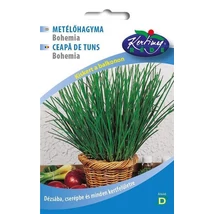 METÉLŐHAGYMA RÉDEI KERTIMAG BOHEMIA 3g