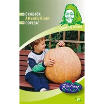 ÓRIÁSTÖK RÉDEI KERTIMAG ATLANTIC GIANT 6 szem