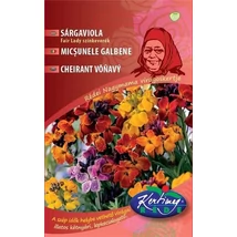 DÍSZNÖVÉNY SÁRGAVIOLA RÉDEI KERTIMAG Fair Lady színkeverék 2 g