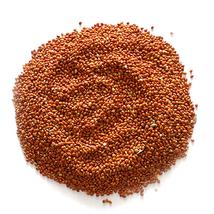 MADÁRELESÉG VÖRÖS KÖLES 20kg