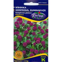 DÍSZNÖVÉNY BÍBORKA RÉDEI KERTIMAG Bíborlila