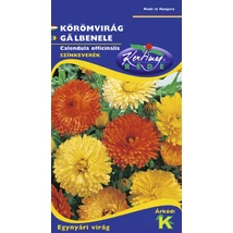 DÍSZNÖVÉNY KÖRÖMVIRÁG RÉDEI KERTIMAG színkeverék