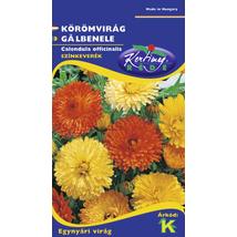DÍSZNÖVÉNY KÖRÖMVIRÁG RÉDEI KERTIMAG színkeverék
