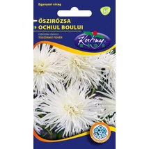 DÍSZNÖVÉNY ŐSZIRÓZSA RÉDEI KERTIMAG tűszírmú fehér