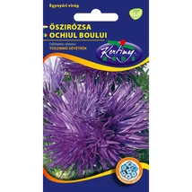 DÍSZNÖVÉNY ŐSZIRÓZSA RÉDEI KERTIMAG tűszirmú kék