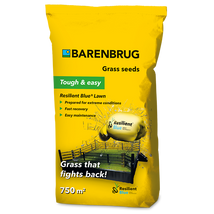 FŰMAG BARENBRUG RESILIENT BLUE LAWN 15 KG