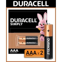 DURACELL BASIC ALKÁLI MIKRO ELEM AAA ( 2 db )